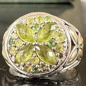 WOW POSHMARK PERIDOT Authentic John Hardy PeridotGarnet Batu Kawung Ring